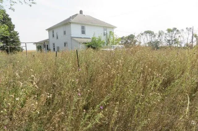 Before: Waist-high grass and weeds in front of a white two-story farmhouse