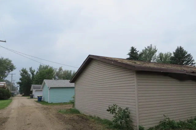 After: The garage and alley clear after the tree was removed